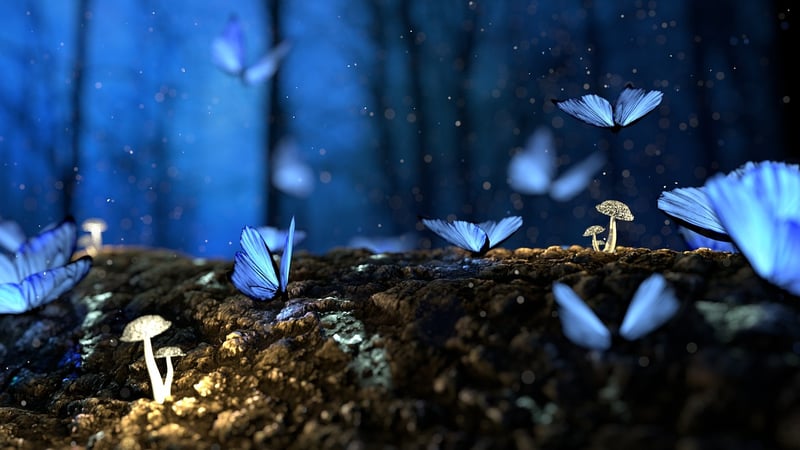 Magical Designs