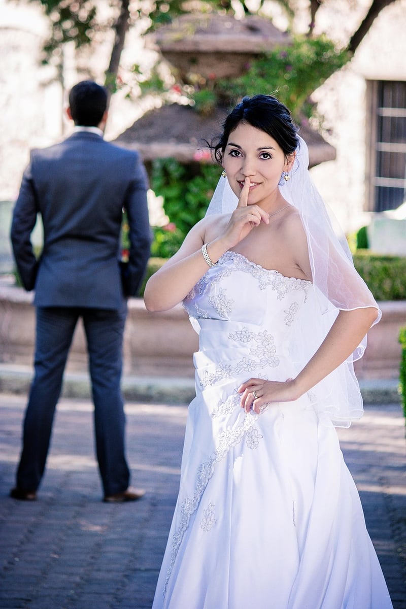 Fairy Tale Gown